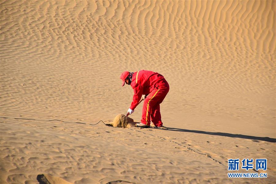 （新春走基層&middot;圖文互動）（3）走進塔克拉瑪干：探訪沙漠物探人
