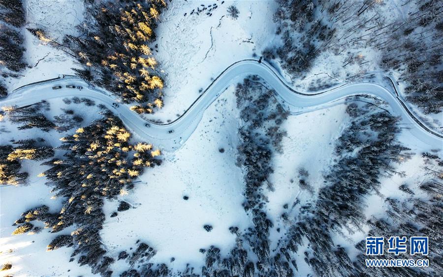 (兩會前夕看落實·圖文互動)(6)牢記囑托增進民族團結(jié) 凝心聚力建設(shè)美麗新疆——新疆落實習(xí)近平總書記全國兩會重要講話精神紀實