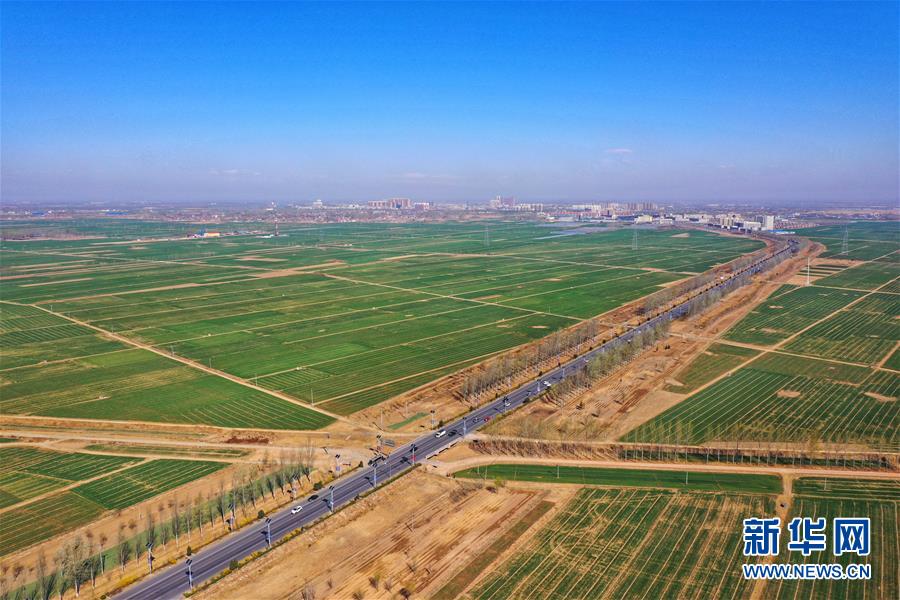 （新華全媒頭條&middot;圖文互動(dòng)）（2）奮進(jìn)，向著未來(lái)之城！&mdash;&mdash;河北雄安新區(qū)建設(shè)發(fā)展兩周年紀(jì)實(shí)