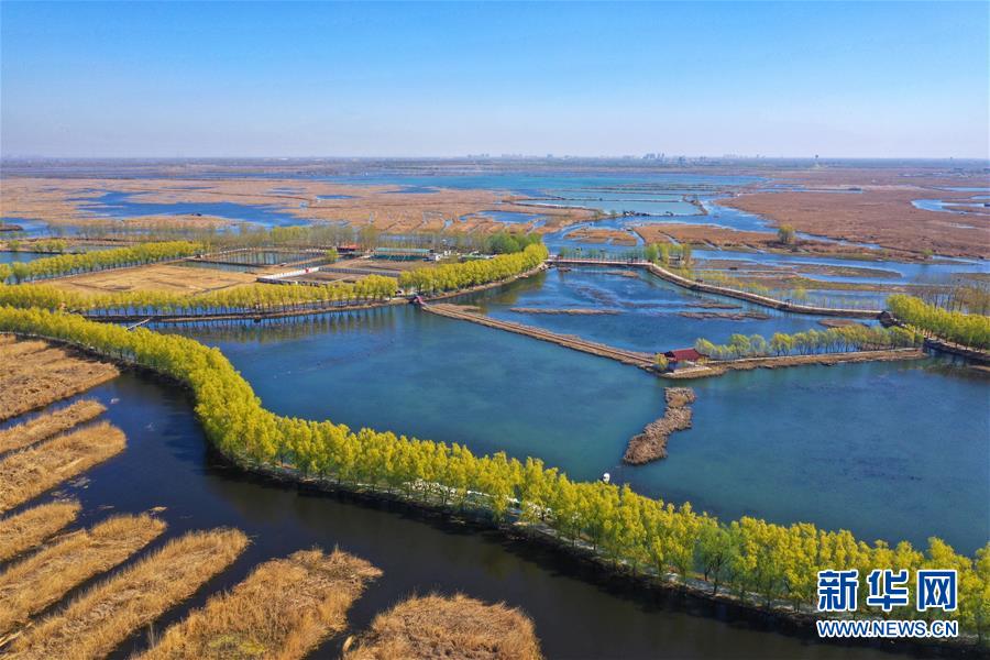 （新華全媒頭條&middot;圖文互動(dòng)）（5）奮進(jìn)，向著未來(lái)之城！&mdash;&mdash;河北雄安新區(qū)建設(shè)發(fā)展兩周年紀(jì)實(shí)