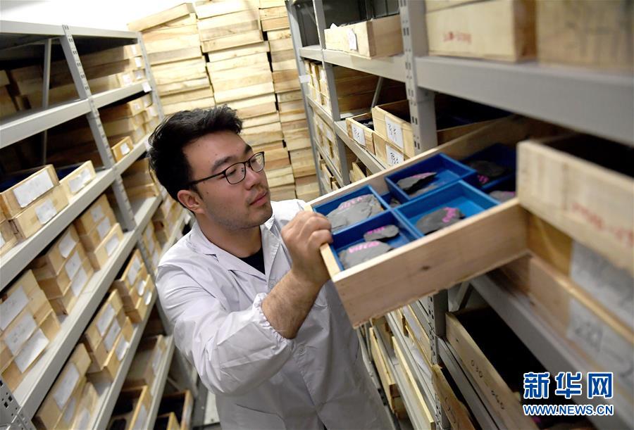 （新華全媒頭條&middot;圖文互動(dòng)）（4）探尋5億年前&ldquo;生命大爆炸&rdquo;之奧秘&mdash;&mdash;中國(guó)科學(xué)家發(fā)現(xiàn)寒武紀(jì)&ldquo;化石寶庫&rdquo;清江生物群紀(jì)實(shí)