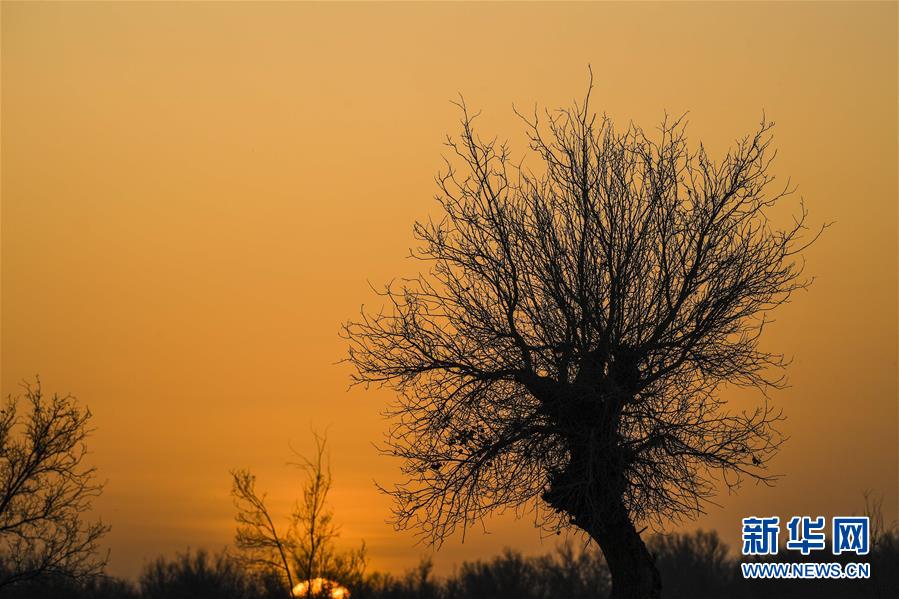 （新華全媒頭條&middot;圖文互動）（2）一步千年，&ldquo;最后的沙漠部落&rdquo;遷入新家園