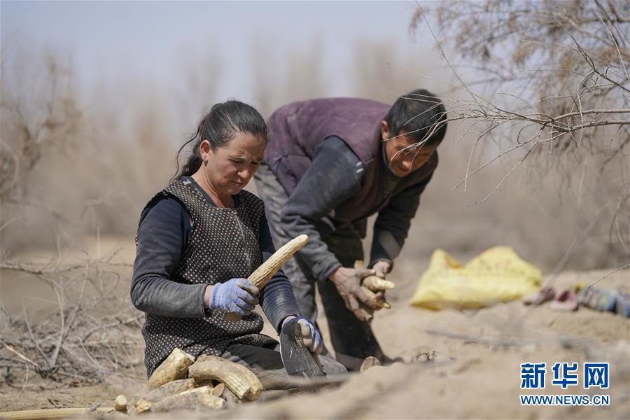 （新華全媒頭條&middot;圖文互動）（6）一步千年，&ldquo;最后的沙漠部落&rdquo;遷入新家園