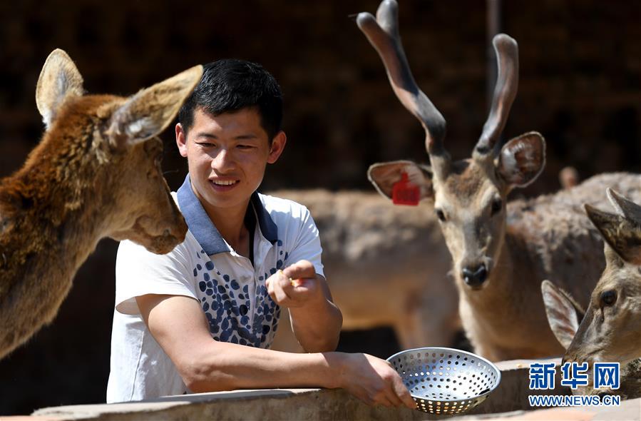 （新華全媒頭條&middot;圖文互動）（6）追夢在新時代的春天里&mdash;&mdash;革命圣地延安告別絕對貧困巡禮