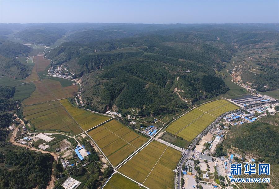 （圖文互動）（1）今日延安：&ldquo;對照過去我認(rèn)不出了你&rdquo;&mdash;&mdash;紅色圣地的生態(tài)交響曲