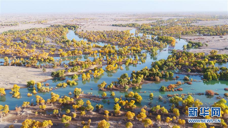 (新華全媒頭條·圖文互動(dòng))(4)大河歸來(lái)