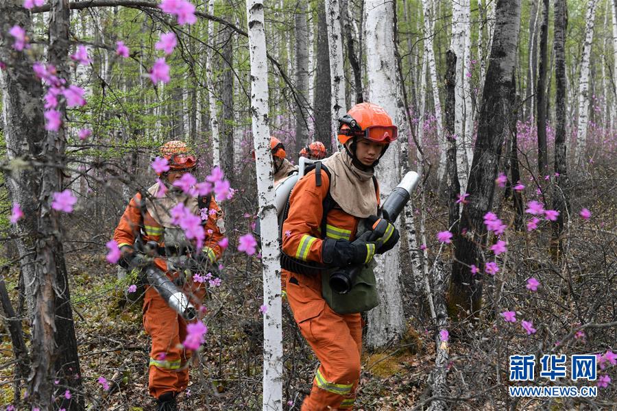 (壯麗70年·奮斗新時代·圖文互動)(3)林海孤島唱響冰與火之歌——記內(nèi)蒙古森林消防總隊大興安嶺支隊奇乾中隊