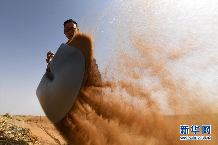 （權(quán)威訪談&middot;聚焦中國經(jīng)濟(jì)亮點(diǎn)&middot;圖文互動(dòng)）（10）防治土地荒漠化 推動(dòng)綠色發(fā)展&mdash;&mdash;專訪國家林業(yè)和草原局副局長劉東生