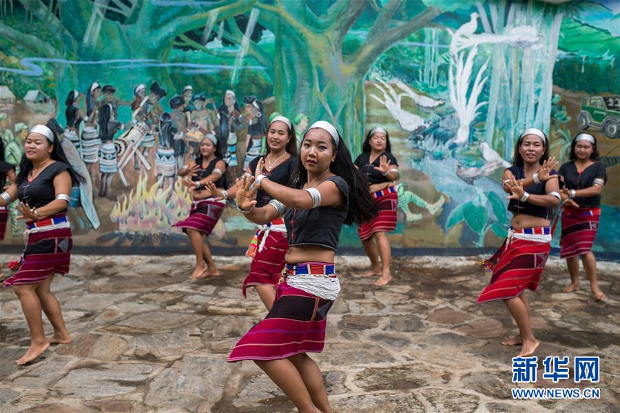 (直過(guò)民族脫貧攻堅(jiān)·圖文互動(dòng))(2)又見(jiàn)白鷴鳥