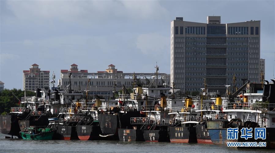 （社會(huì)）（1）?？冢捍盎馗郾芘_風(fēng)