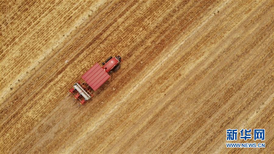 (新華全媒頭條·圖文互動(dòng))(7)一個(gè)傳統(tǒng)農(nóng)業(yè)縣的脫貧之路——來(lái)自河北新河的調(diào)查報(bào)告