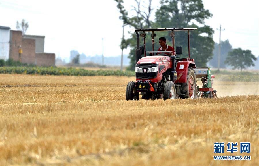 (新華全媒頭條·圖文互動(dòng))(8)一個(gè)傳統(tǒng)農(nóng)業(yè)縣的脫貧之路——來(lái)自河北新河的調(diào)查報(bào)告