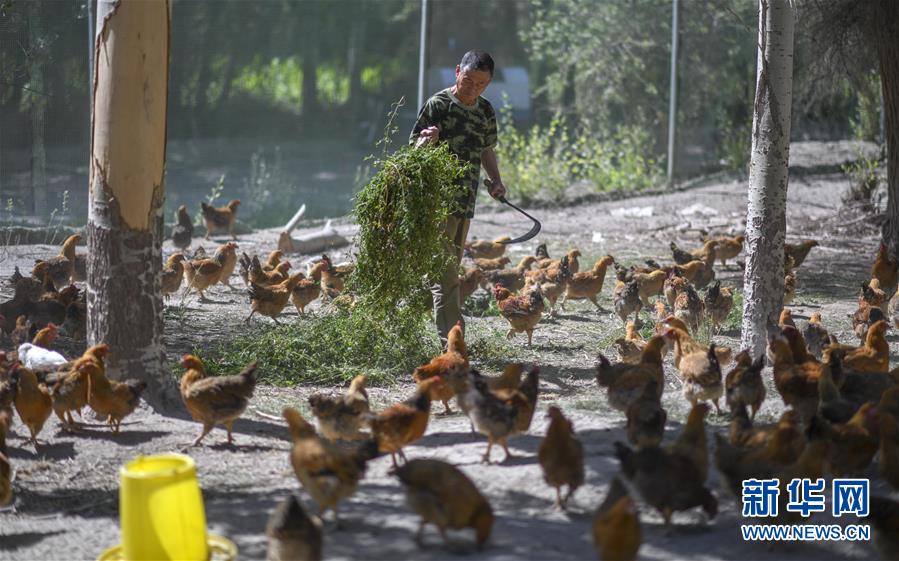 （新華全媒頭條&middot;圖文互動）（6）同心援疆，&ldquo;壯闊&rdquo;祖國西北角