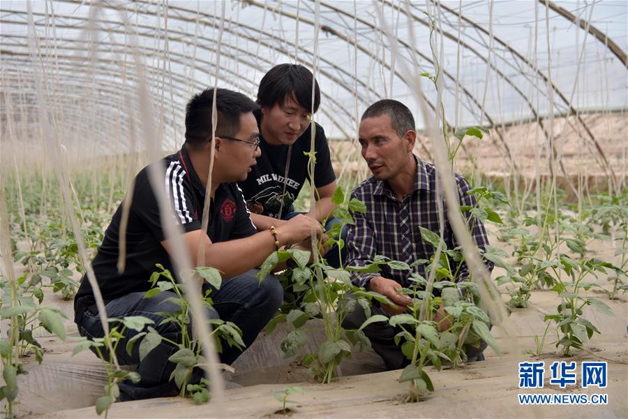 （新華全媒頭條&middot;圖文互動）（10）同心援疆，&ldquo;壯闊&rdquo;祖國西北角