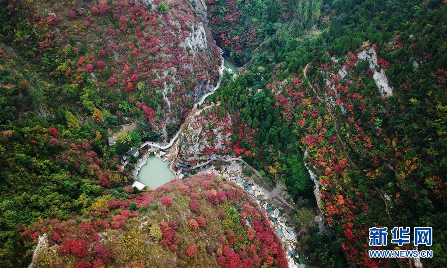 (壯麗70年·奮斗新時(shí)代——共和國發(fā)展成就巡禮·圖文互動)(2)以“綠色”身姿站上發(fā)展前沿——甘肅綠色轉(zhuǎn)型發(fā)展紀(jì)實(shí)