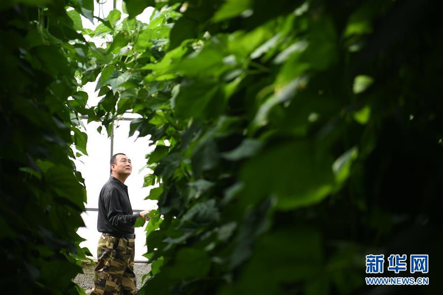 (壯麗70年·奮斗新時(shí)代——共和國發(fā)展成就巡禮·圖文互動)(7)以“綠色”身姿站上發(fā)展前沿——甘肅綠色轉(zhuǎn)型發(fā)展紀(jì)實(shí)