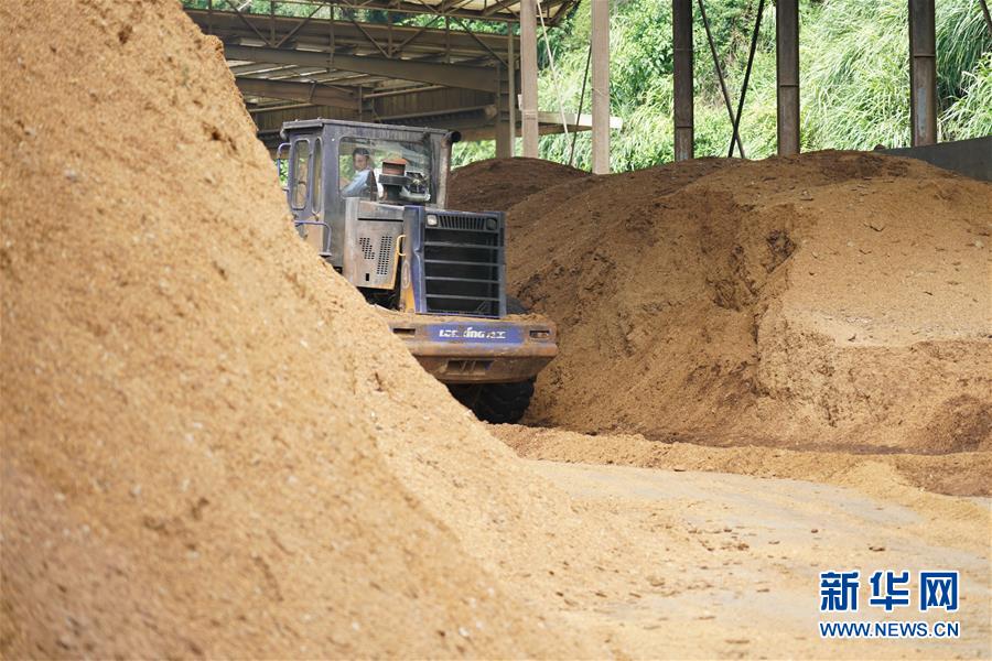 （在習近平新時代中國特色社會主義思想指引下&mdash;&mdash;新時代新作為新篇章&middot;總書記關心的百姓身邊事&middot;圖文互動）（4）大污染變身&ldquo;大寶藏&rdquo;：治理畜禽糞污，他們這樣干！