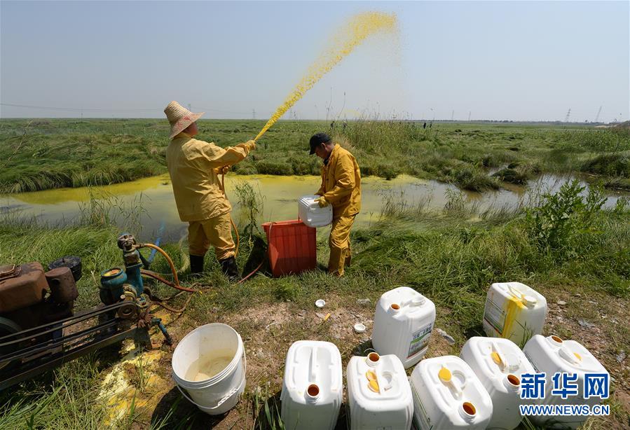 （紅土地&ldquo;往事新說&rdquo;&middot;圖文互動）（7）昔日送&ldquo;瘟神&rdquo;  今朝健康促小康