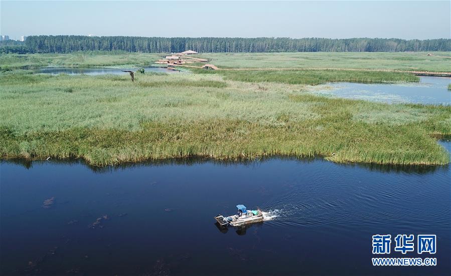 (壯麗70年·奮斗新時(shí)代·重溫囑托看變化·圖文互動(dòng))(4)雄安新區(qū):錨定高質(zhì)量發(fā)展 奮力書寫新時(shí)代答卷
