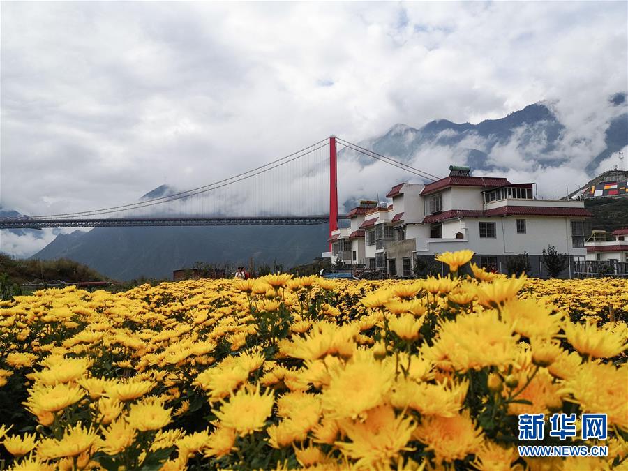 (圖文互動(dòng))(9)大渡橋橫天路“短”