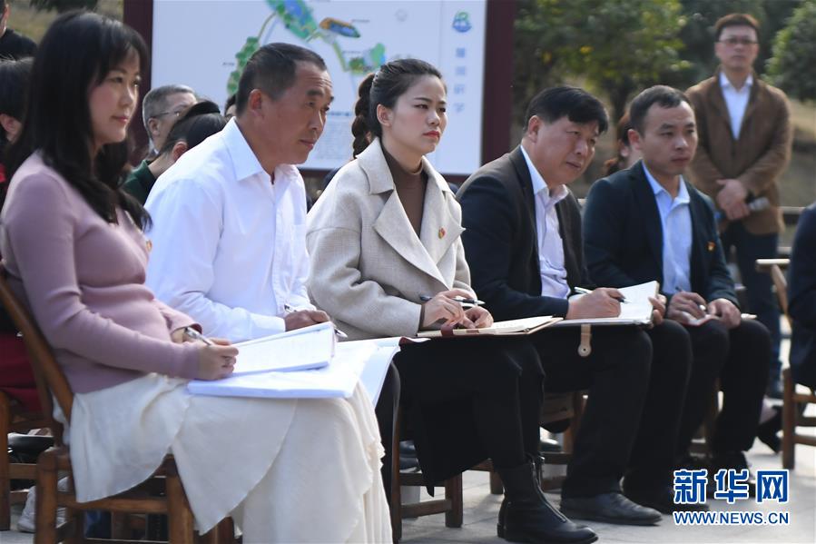 （四中全會精神在基層&middot;圖文互動）（4）學(xué)習(xí)貫徹黨的十九屆四中全會精神中央宣講團(tuán)在湖南宣講