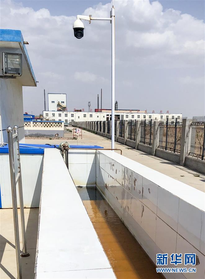 （新華全媒頭條&middot;圖文互動(dòng)）（5）綠色的啟示&mdash;&mdash;西部地區(qū)生態(tài)問(wèn)題典型個(gè)案再調(diào)查