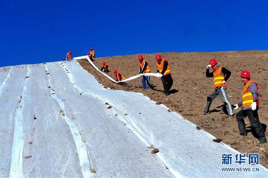 （新華全媒頭條&middot;圖文互動(dòng)）（6）綠色的啟示&mdash;&mdash;西部地區(qū)生態(tài)問(wèn)題典型個(gè)案再調(diào)查