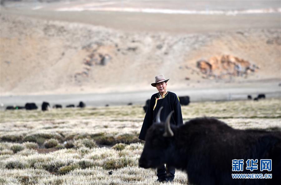 （新華全媒頭條&middot;圖文互動）（1）&ldquo;老牦牛&rdquo;亞格博的西藏情緣&mdash;&mdash;記北京援藏干部吳雨初