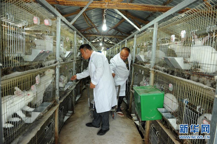 （新華全媒頭條&middot;圖文互動）（4）干部去哪兒了？&mdash;&mdash;貴州干部大規(guī)模下沉脫貧攻堅一線紀實