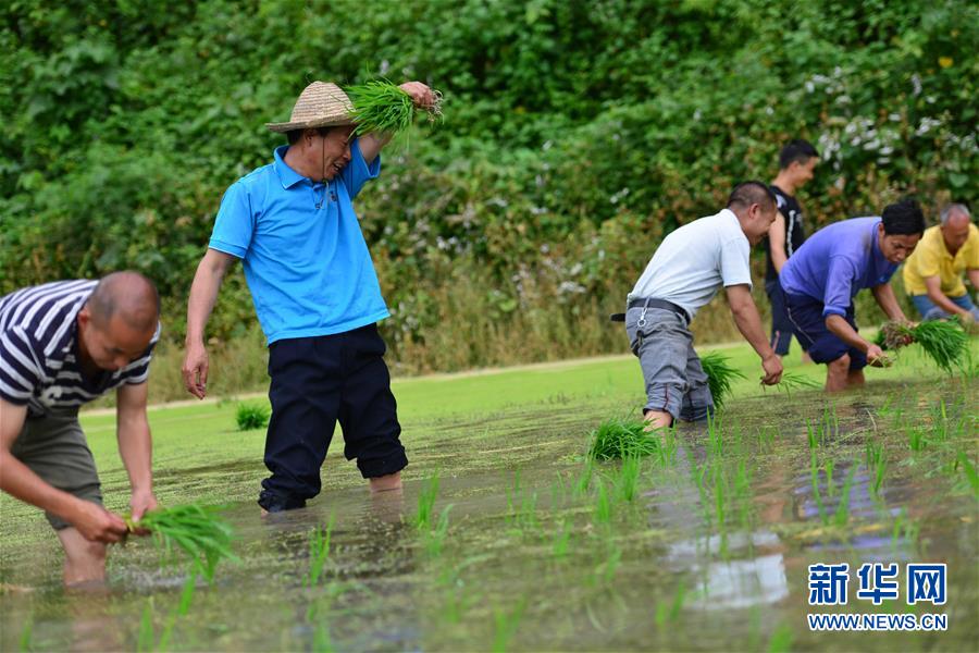 （新華全媒頭條&middot;圖文互動）（8）干部去哪兒了？&mdash;&mdash;貴州干部大規(guī)模下沉脫貧攻堅一線紀實