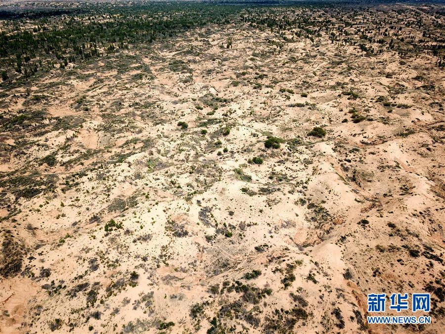 （圖文互動(dòng)）（2）陜西榆林毀林建光伏電站追蹤：還有哪些疑團(tuán)有待破解？ 