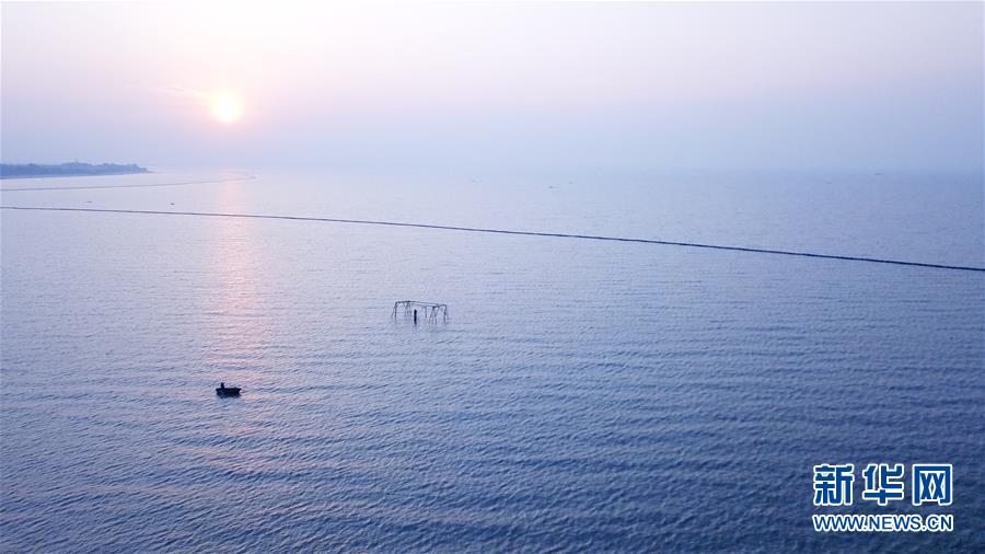 （新華全媒頭條&middot;圖文互動(dòng)）（2）大湖見證&mdash;&mdash;長(zhǎng)三角三大淡水湖綠色發(fā)展之路