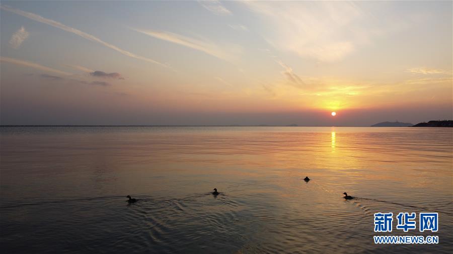 （新華全媒頭條&middot;圖文互動(dòng)）（4）大湖見證&mdash;&mdash;長(zhǎng)三角三大淡水湖綠色發(fā)展之路