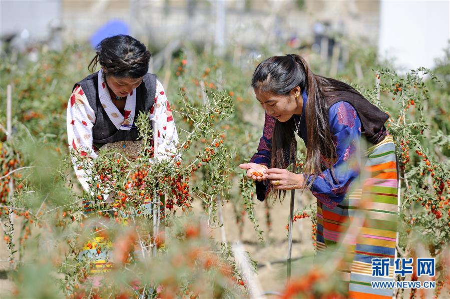 （新華全媒頭條&middot;兩會特別報道&middot;圖文互動）（7）在推進高質(zhì)量發(fā)展中創(chuàng)造廣闊空間&mdash;&mdash;從全國兩會看奮進中國的發(fā)展機遇