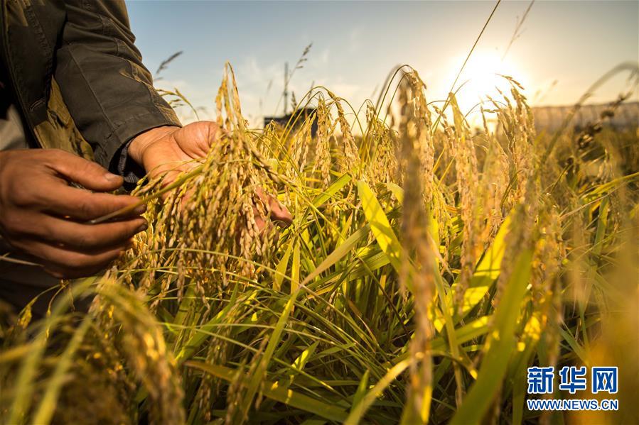 （新華全媒頭條&middot;圖文互動(dòng)）（5）上下同心再出發(fā)&mdash;&mdash;習(xí)近平總書記同出席2019年全國兩會(huì)人大代表、政協(xié)委員共商國是紀(jì)實(shí)