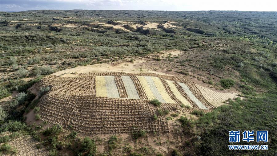 （在習(xí)近平新時(shí)代中國特色社會主義思想指引下&mdash;&mdash;新時(shí)代新作為新篇章&middot;總書記關(guān)切高質(zhì)量發(fā)展&middot;圖文互動(dòng)）（1）從一粒沙看不斷擴(kuò)大的中國綠色版圖
