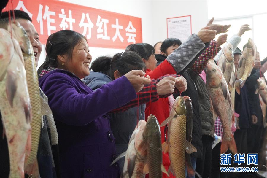 （新春走基層&middot;圖文互動）（3）&ldquo;空殼村&rdquo;分紅啦！