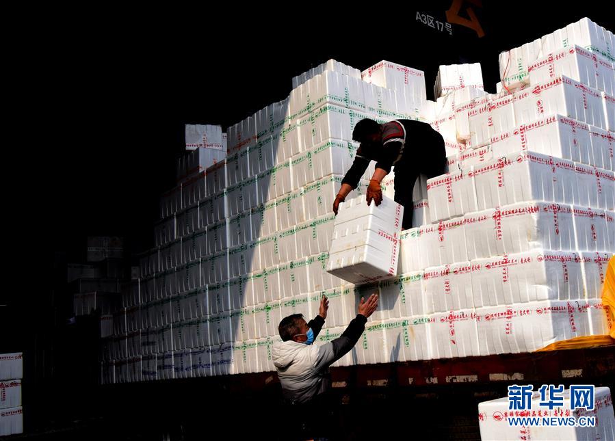 （聚焦疫情防控&middot;圖文互動(dòng)）（4）吃的東西充足，做點(diǎn)花樣菜吧！&mdash;&mdash;中部地區(qū)最大農(nóng)產(chǎn)品批發(fā)市場(chǎng)見(jiàn)聞 