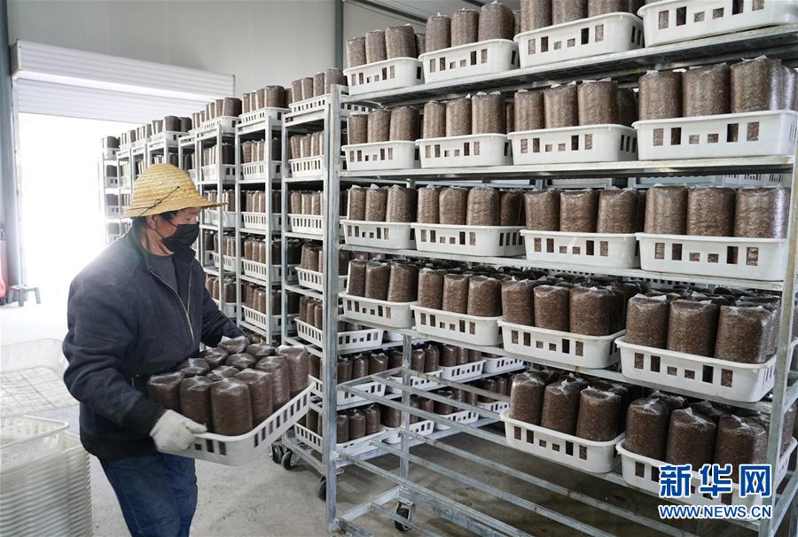 （決戰(zhàn)決勝脫貧攻堅&middot;圖文互動）（1）秦巴山區(qū)：戰(zhàn)疫戰(zhàn)貧，兩場仗都要打贏