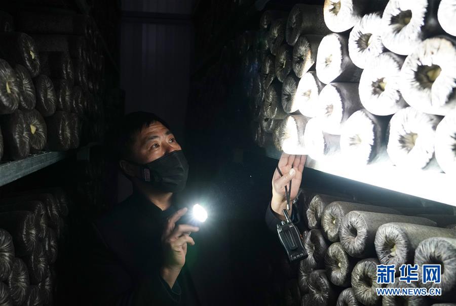 （決戰(zhàn)決勝脫貧攻堅&middot;圖文互動）（4）秦巴山區(qū)：戰(zhàn)疫戰(zhàn)貧，兩場仗都要打贏