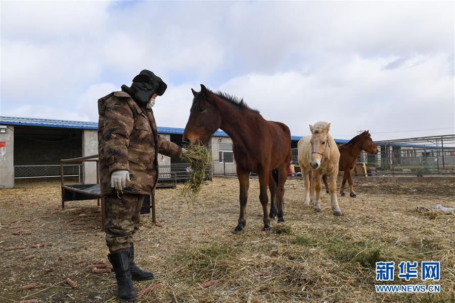 （聚焦疫情防控&middot;圖文互動）（1）行進(jìn)在鄉(xiāng)間的馬背巡邏隊