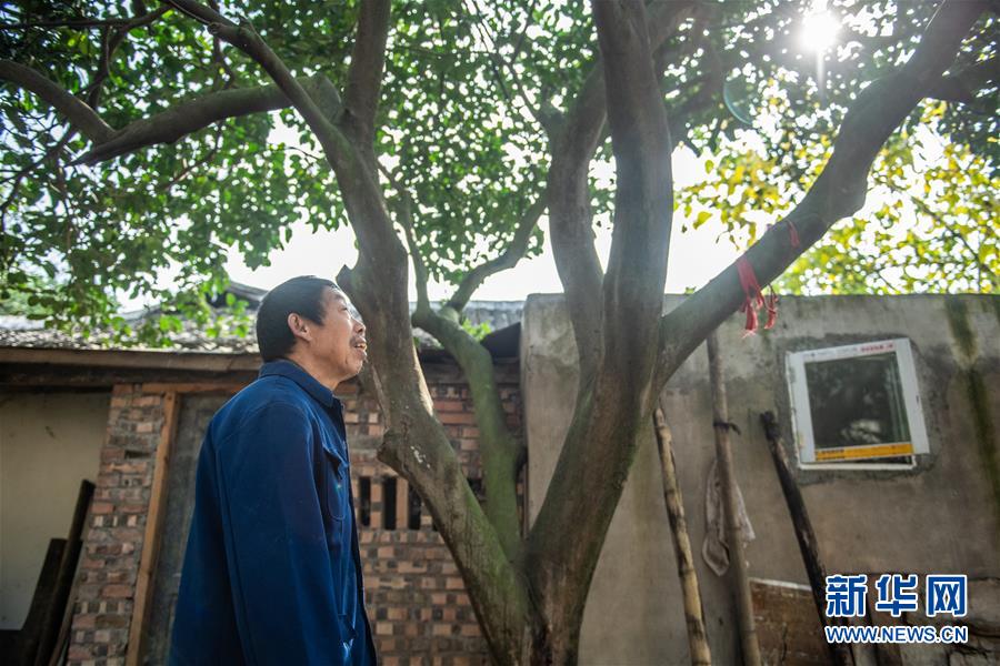 （新華全媒頭條&middot;圖文互動）（7）書寫新的轉(zhuǎn)折&mdash;&mdash;寫在革命老區(qū)遵義全面脫貧之際