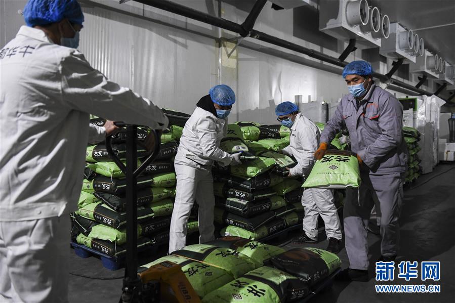 （抓好經(jīng)濟發(fā)展 應(yīng)對復(fù)雜局面&middot;圖文互動）（1）&ldquo;一企一策&rdquo;解難題 大項目按下&ldquo;加速器&rdquo;&mdash;&mdash;廣西精準有序推動項目開工復(fù)工