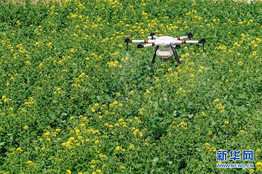 （在習近平新時代中國特色社會主義思想指引下&mdash;&mdash;新時代新作為新篇章&middot;習近平總書記關切事&middot;圖文互動）（17）精準發(fā)力抓統(tǒng)籌&mdash;&mdash;各地落實&ldquo;分區(qū)分級&rdquo;有序恢復生產(chǎn)生活