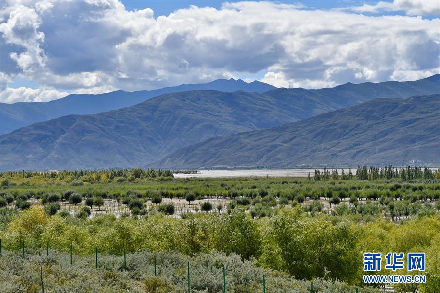 （圖文互動）（4）&ldquo;今天的生活，就像夢里夢到那樣甜&rdquo;&mdash;&mdash;寫在西藏百萬農(nóng)奴解放61周年之際