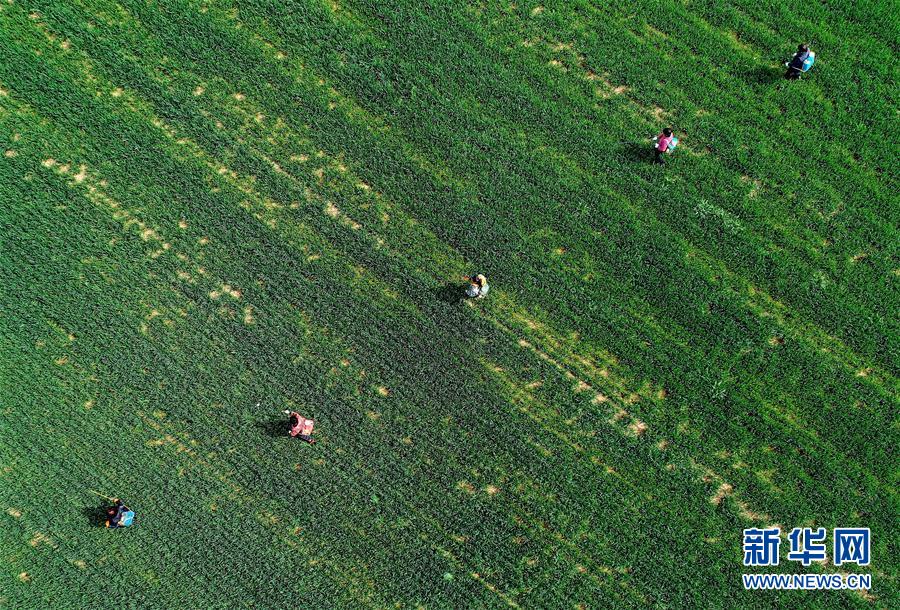 （新華全媒頭條&middot;圖文互動(dòng)）（5）春天，匯聚復(fù)蘇的力量&mdash;&mdash;寫(xiě)在2020年首季中國(guó)經(jīng)濟(jì)收官之際