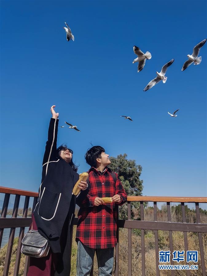 （一線抗疫群英譜&middot;圖文互動）（1）大學(xué)生志愿者譚藝西：在武漢，我和媽媽共戰(zhàn)&ldquo;疫&rdquo;