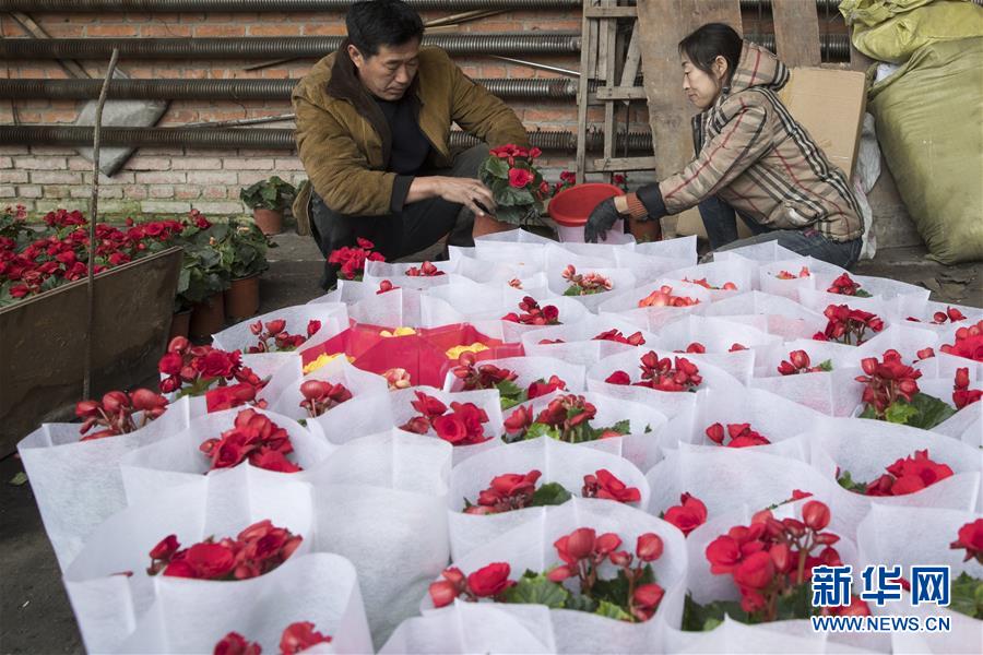 （在習(xí)近平新時(shí)代中國特色社會主義思想指引下&mdash;&mdash;新時(shí)代新作為新篇章&middot;習(xí)近平總書記關(guān)切事&middot;圖文互動）（1）希望的田野，希望的春天&mdash;&mdash;各地農(nóng)業(yè)生產(chǎn)新動態(tài)掃描