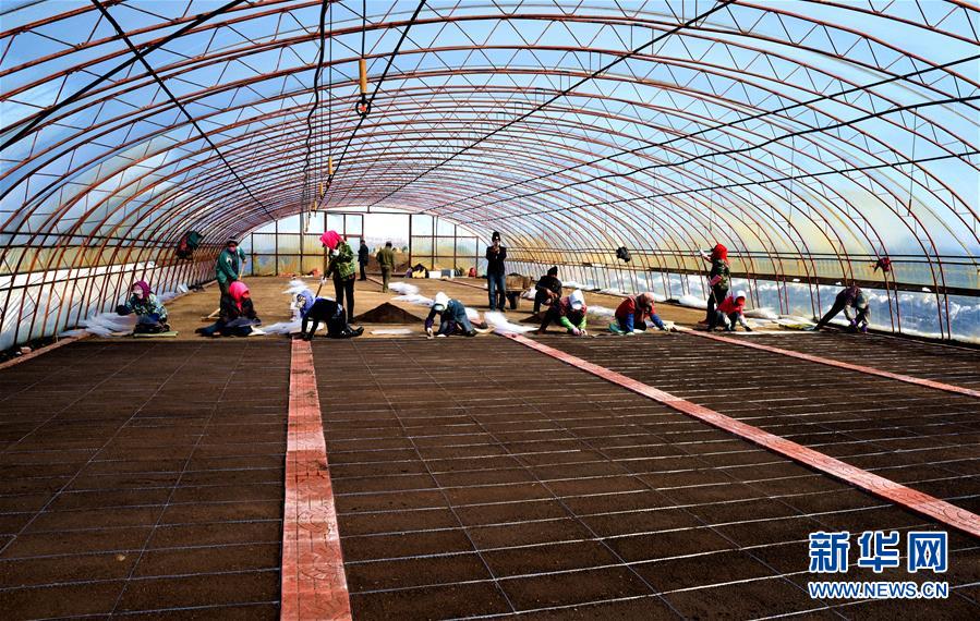 （在習(xí)近平新時(shí)代中國特色社會主義思想指引下&mdash;&mdash;新時(shí)代新作為新篇章&middot;習(xí)近平總書記關(guān)切事&middot;圖文互動）（5）希望的田野，希望的春天&mdash;&mdash;各地農(nóng)業(yè)生產(chǎn)新動態(tài)掃描