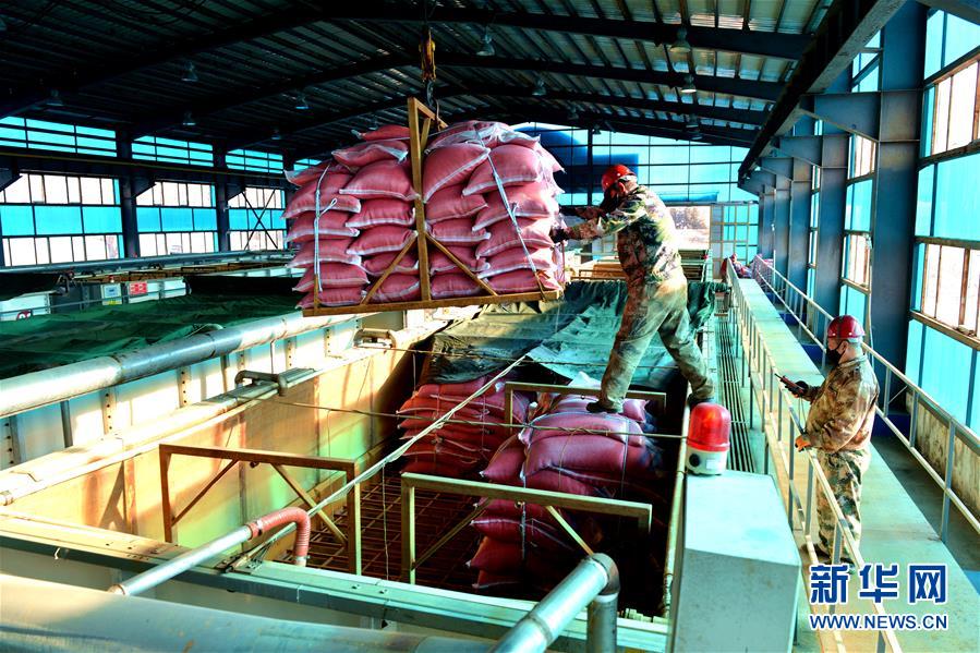 （在習(xí)近平新時(shí)代中國特色社會主義思想指引下&mdash;&mdash;新時(shí)代新作為新篇章&middot;習(xí)近平總書記關(guān)切事&middot;圖文互動）（6）希望的田野，希望的春天&mdash;&mdash;各地農(nóng)業(yè)生產(chǎn)新動態(tài)掃描